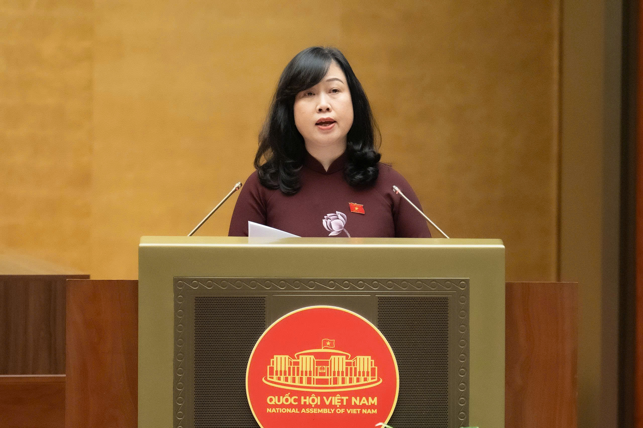 Giai đoạn 2026-2030 dành 88.635 tỷ đồng thực hiện Chương trình mục tiêu quốc gia về chăm sóc sức khỏe, dân số và phát triển - ảnh 1