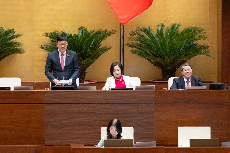 Thông qua Luật sửa đổi, bổ sung một số điều của Luật Quy hoạch đô thị và nông thôn - ảnh 2