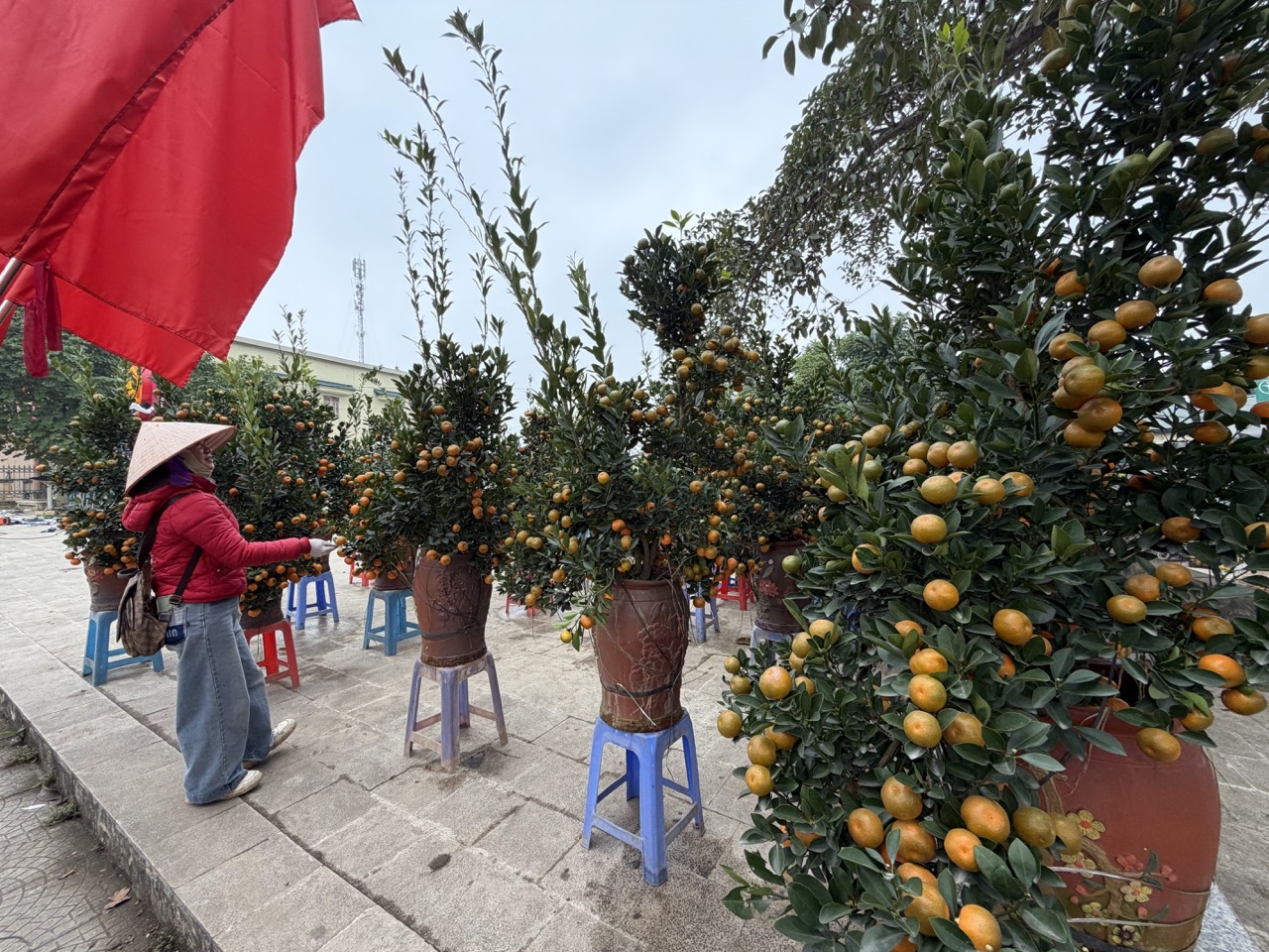 Xã Đoài Phương tăng tốc về đích các dự án trọng điểm - ảnh 11