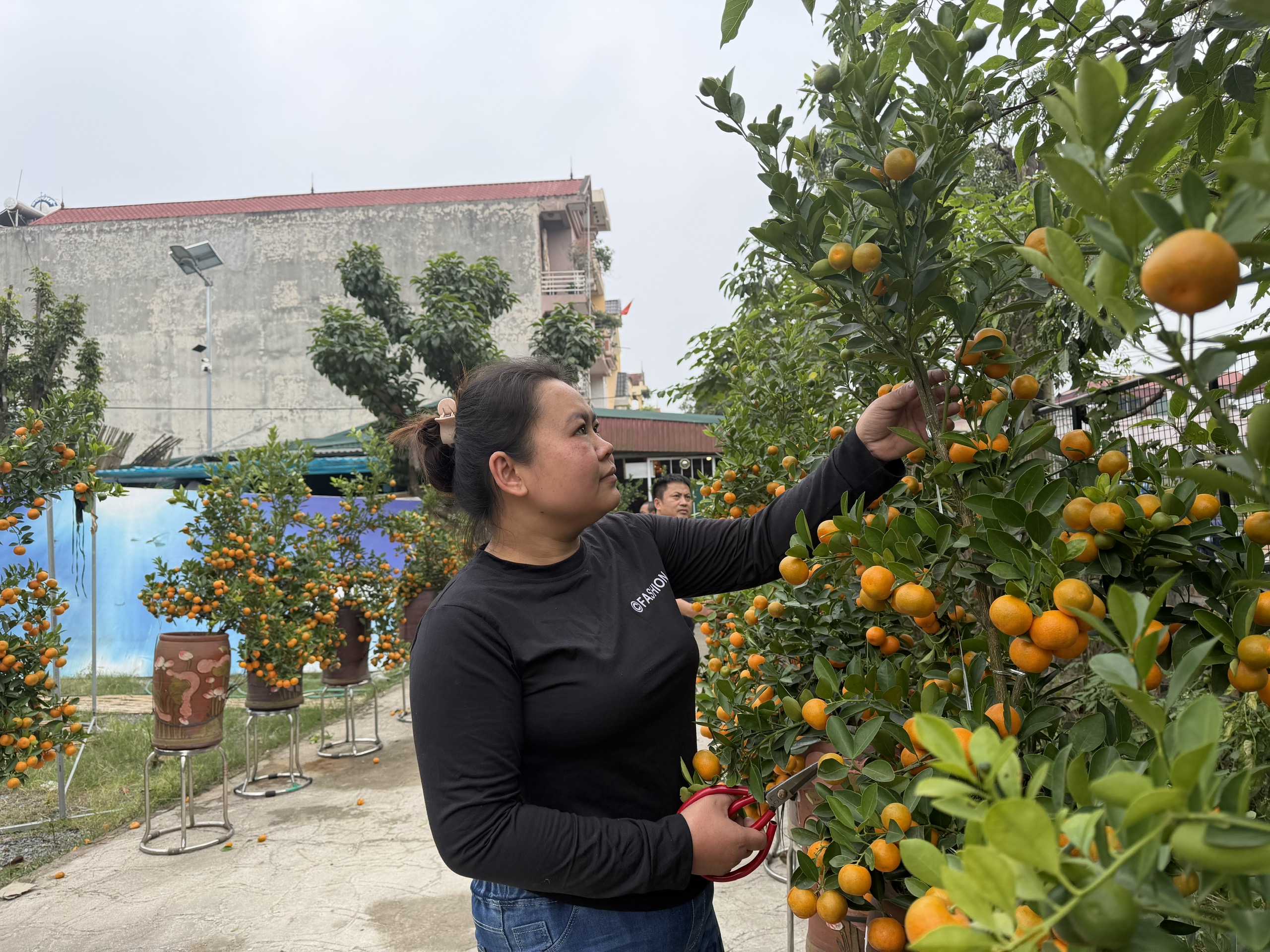 Xã Đoài Phương tăng tốc về đích các dự án trọng điểm - ảnh 8