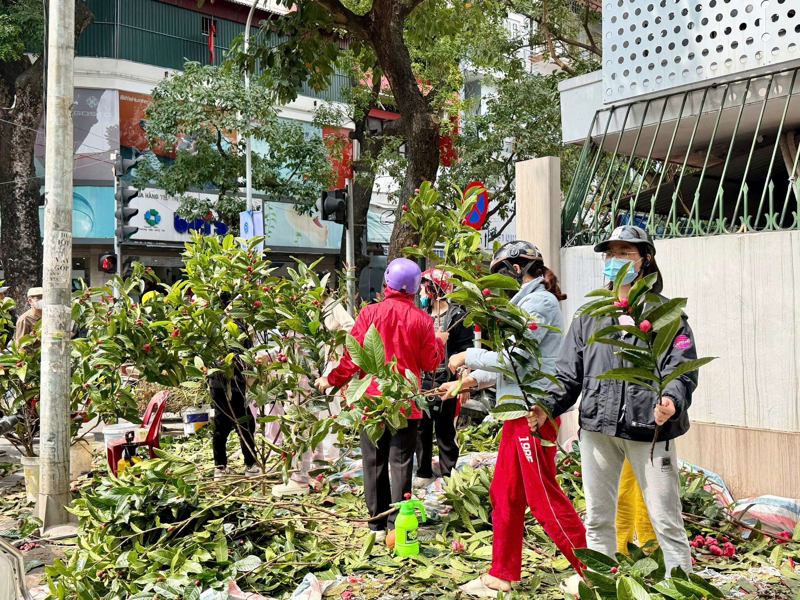 Không xảy ra “sốt giá” trong ngày 29 Tết Bính Ngọ 2026 - ảnh 3