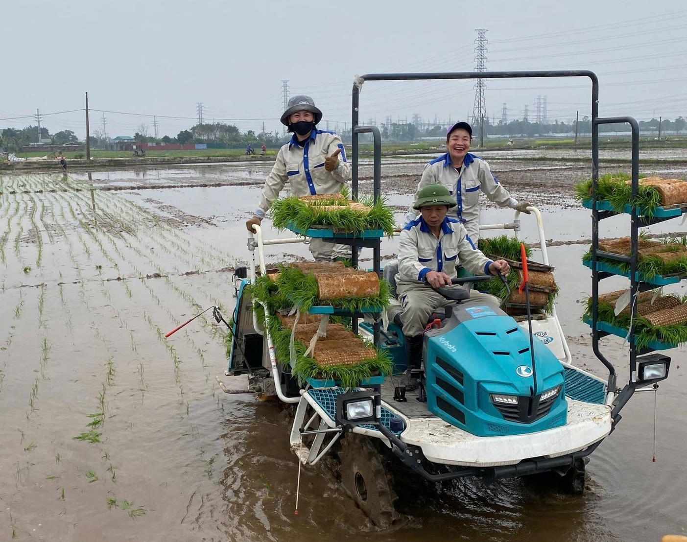 Nông dân xã Thư Lâm đồng loạt thực hiện cấy lúa vụ Xuân  - ảnh 2