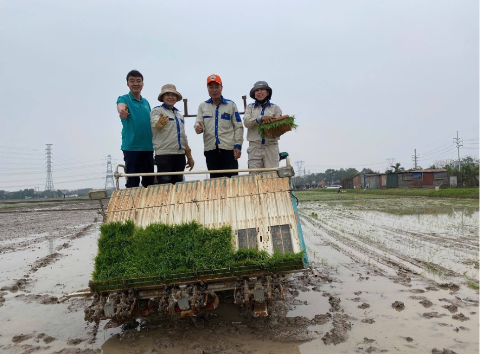 Nông dân xã Thư Lâm đồng loạt thực hiện cấy lúa vụ Xuân  - ảnh 4