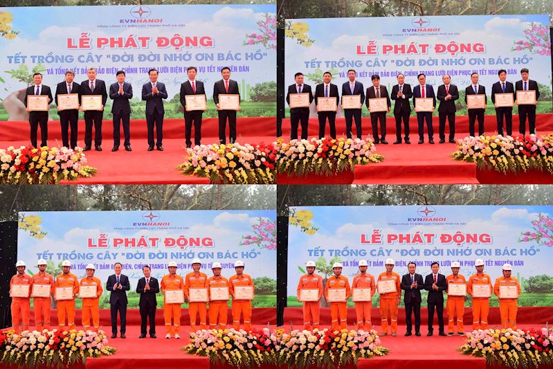 Tổng Công ty Điện lực Hà Nội phát động “Tết trồng cây” - ảnh 4