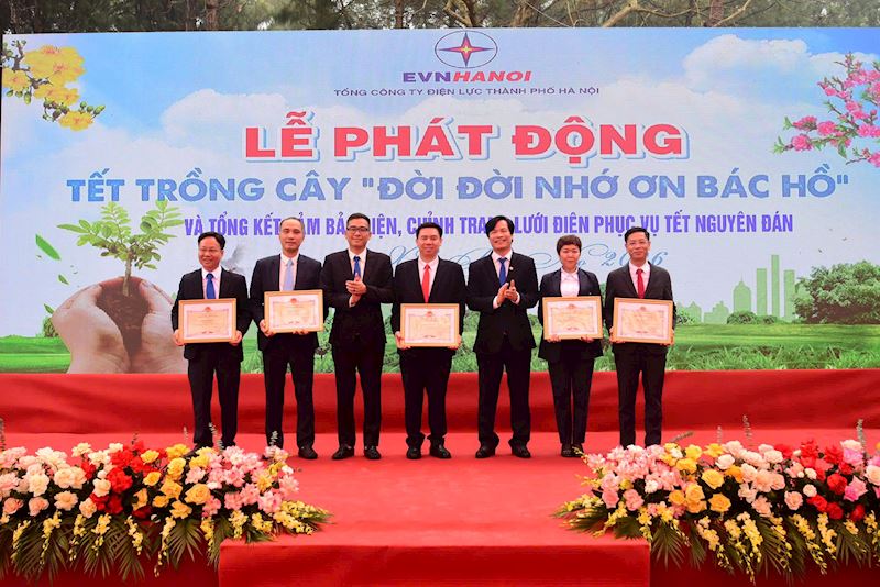 Tổng Công ty Điện lực Hà Nội phát động “Tết trồng cây” - ảnh 3