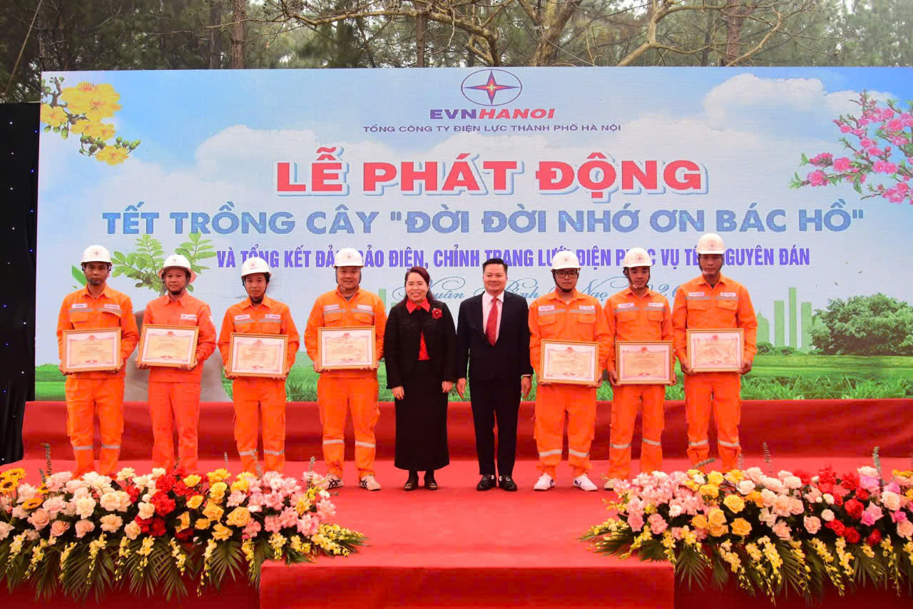 Tổng Công ty Điện lực Hà Nội phát động “Tết trồng cây” - ảnh 2
