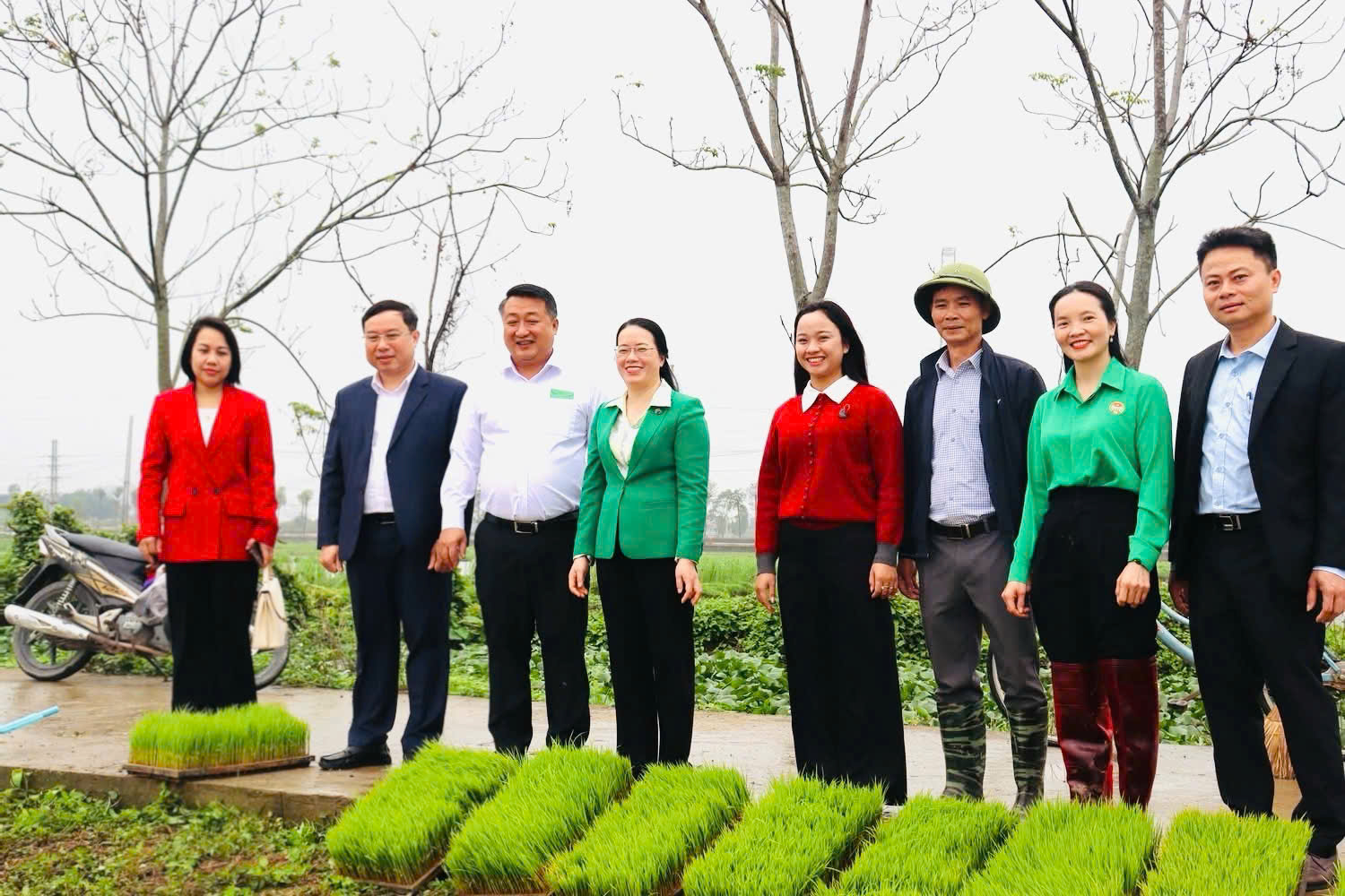 Chủ tịch Hội Nông dân thành phố cùng hội viên xuống đồng cấy lúa xuân 2026 - ảnh 5