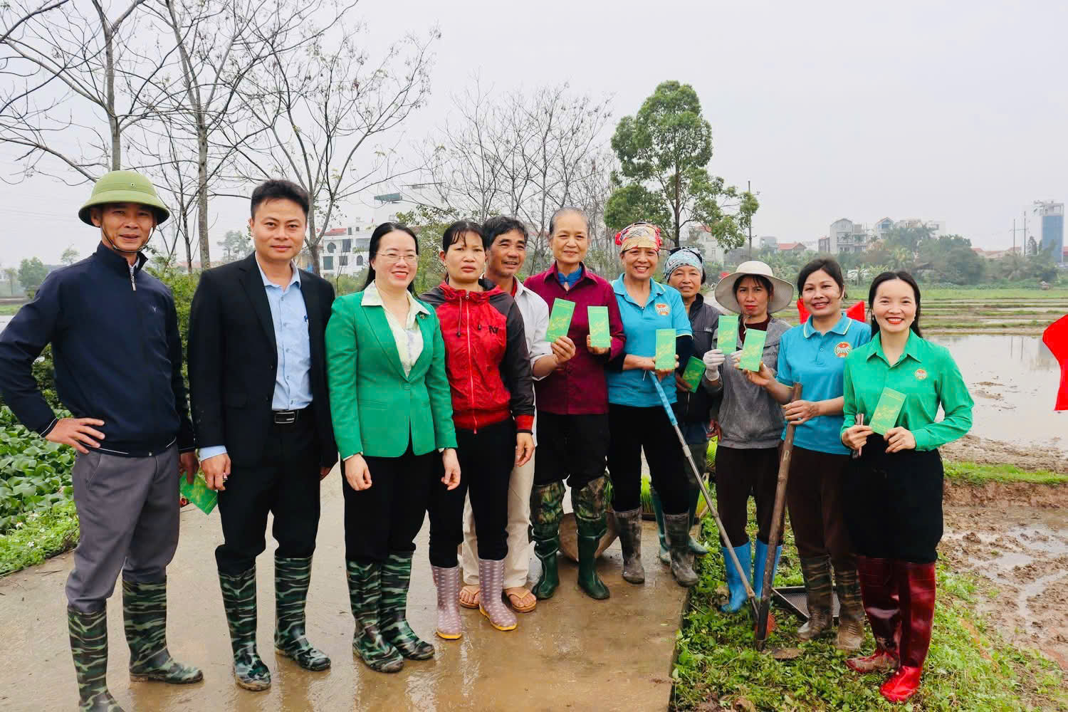 Chủ tịch Hội Nông dân thành phố cùng hội viên xuống đồng cấy lúa xuân 2026 - ảnh 4