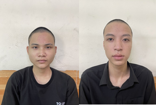 Đôi bạn rủ nhau đi trộm cắp tài sản - ảnh 1