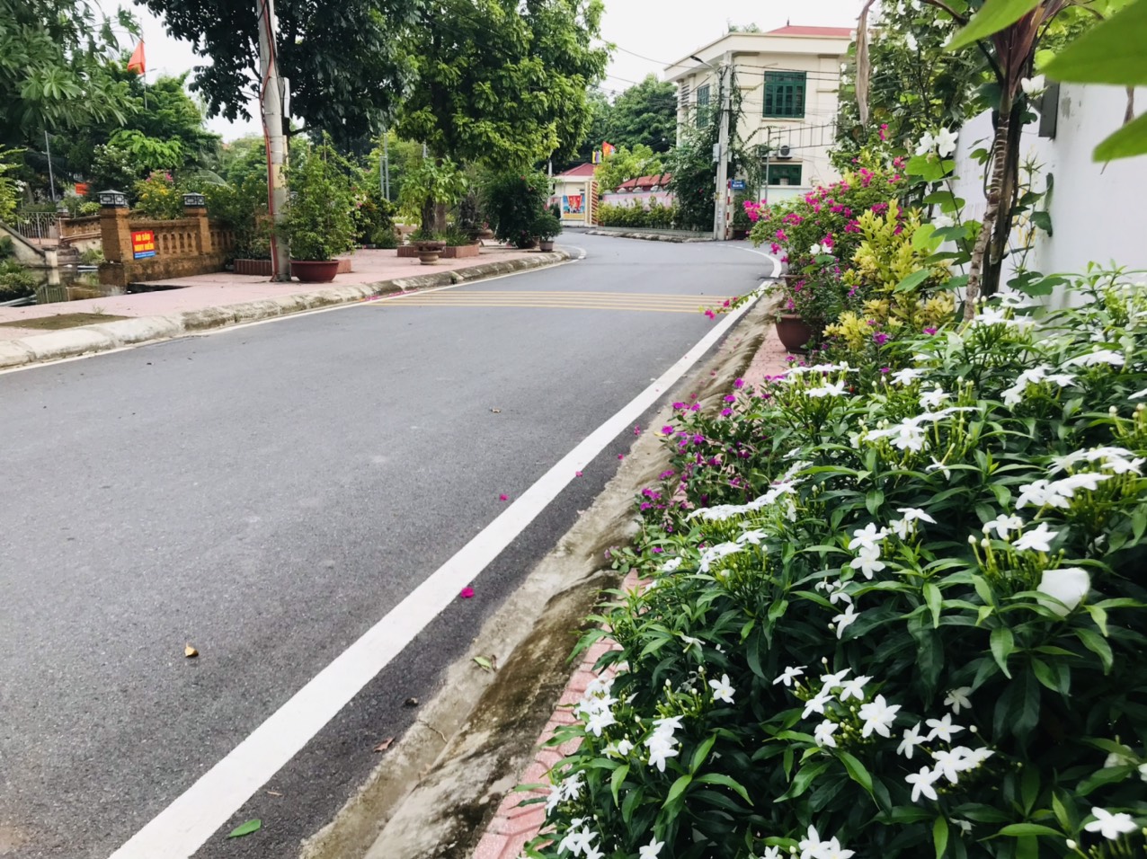 Phong trào “Toàn dân đoàn kết xây dựng đời sống văn hóa” – bước đệm hình thành nếp sống văn hóa - ảnh 1