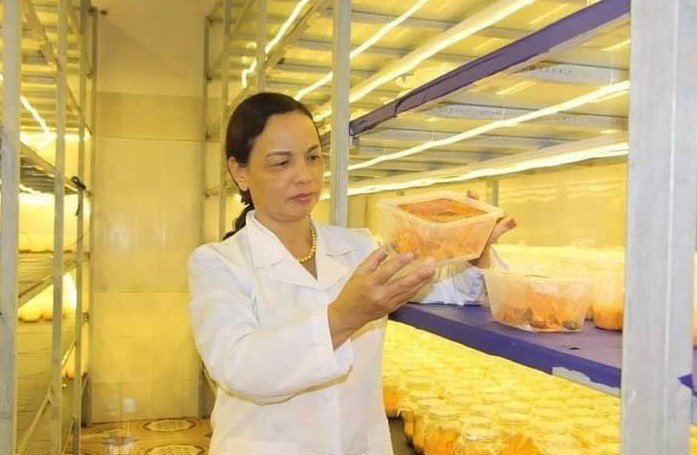 Doanh nhân Nguyễn Thị Thanh Hằng hướng tới xu hướng tiêu dùng xanh từ mô hình kinh tế trang trại Hải Đăng, xã Yên Mỹ. - ảnh 2