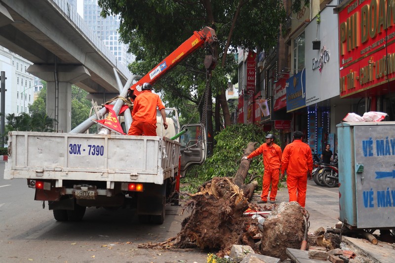 Hà Nội: Gần 1.000 cây xanh gãy, đổ do trận giông lốc kinh hoàng tối 20/4 - ảnh 1