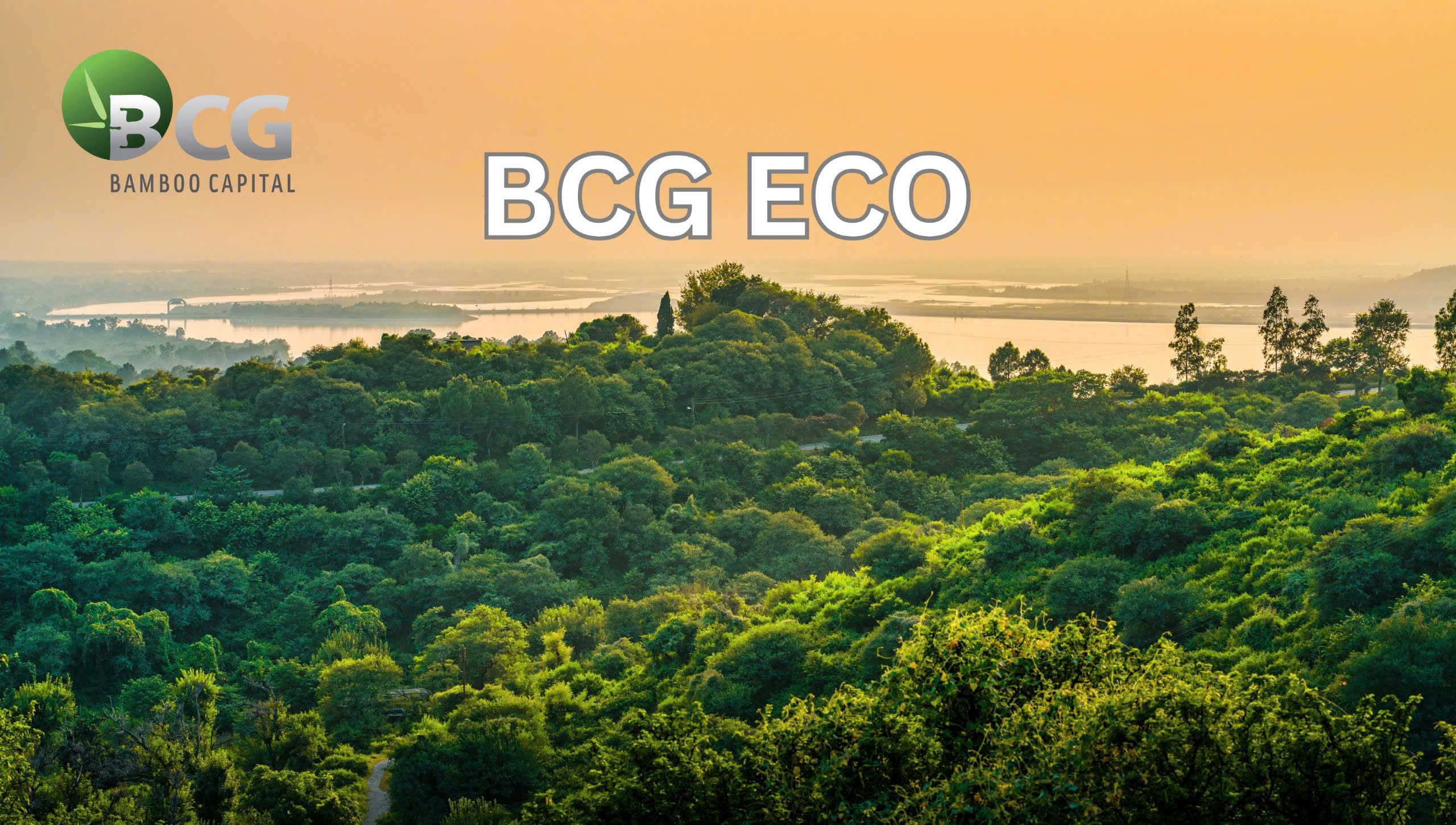 BCG Eco – Bước đi mới trong hành trình phát triển bền vững của Tập đoàn Bamboo Capital - ảnh 1
