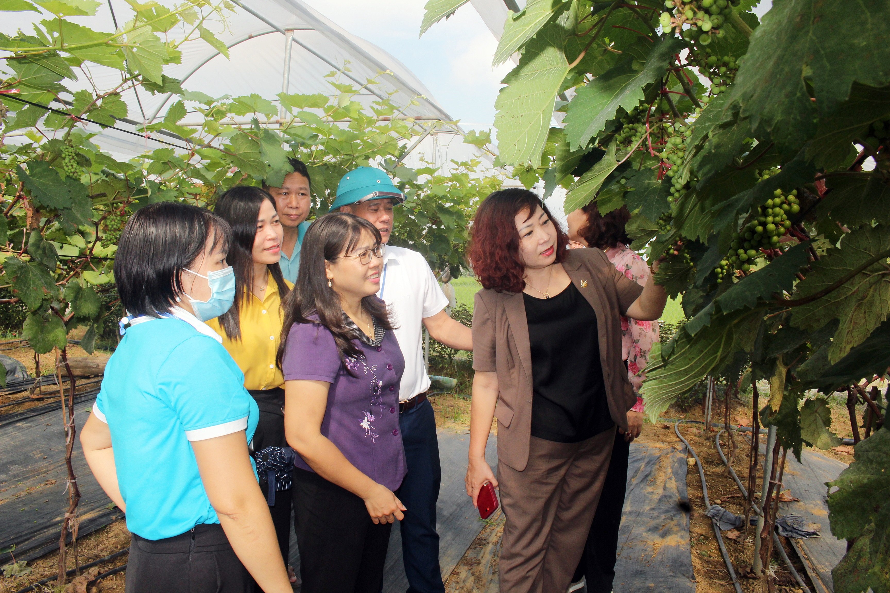 Ra mắt Hợp tác xã sản xuất nông nghiệp do phụ nữ làm chủ - ảnh 5