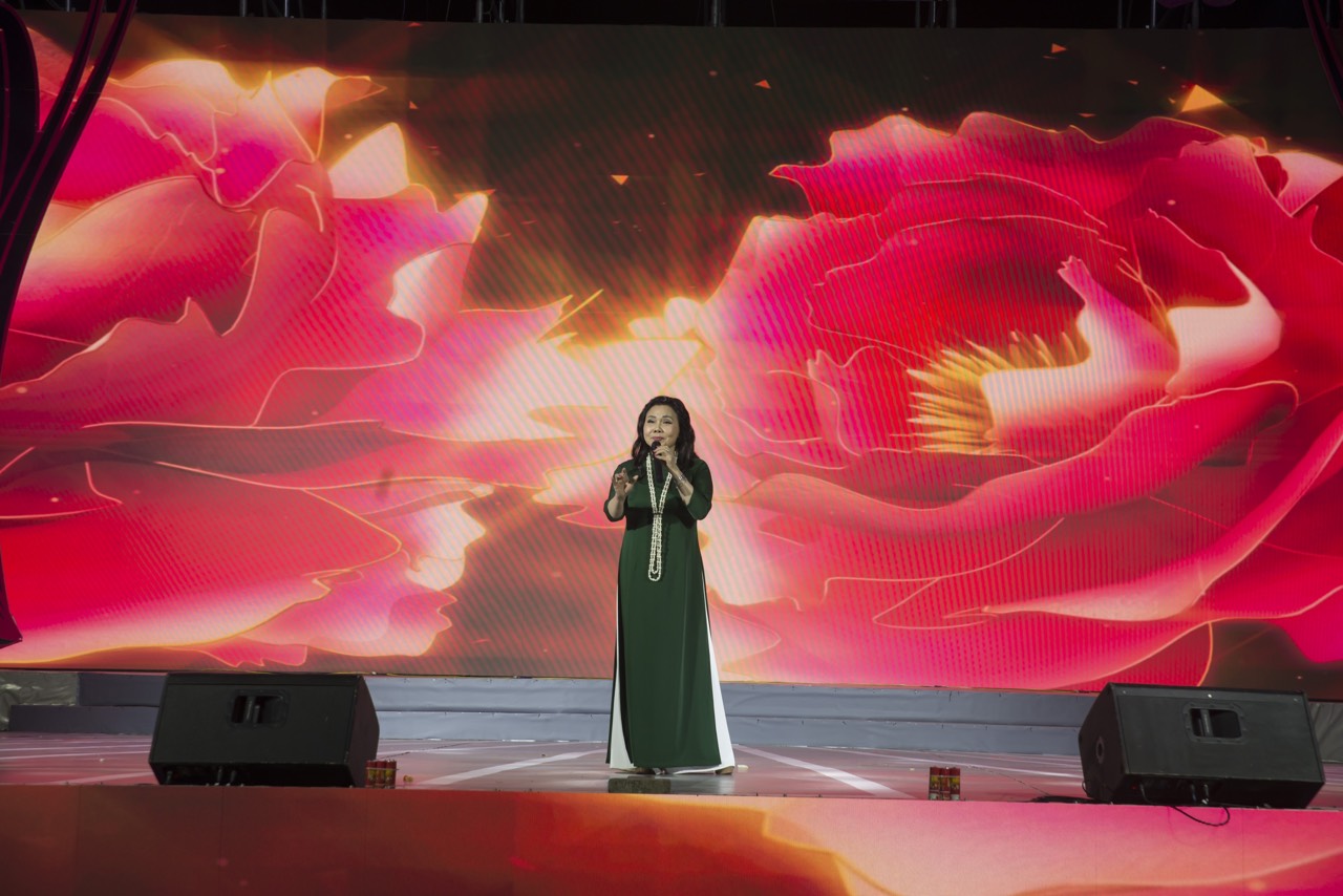 Nhịp cầu Ví Giặm mừng Đảng, mừng xuân, mừng đất nước đổi mới - ảnh 4