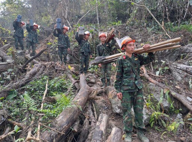 Việt Nam nỗ lực cùng cộng đồng quốc tế thúc đẩy khắc phục hậu quả bom mìn - ảnh 1