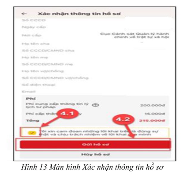 Sở Tư pháp Hà Nội hướng dẫn người dân đăng ký cấp phiếu lý lịch tư pháp trên VNeID - ảnh 11