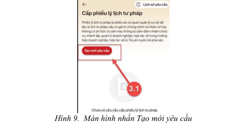 Sở Tư pháp Hà Nội hướng dẫn người dân đăng ký cấp phiếu lý lịch tư pháp trên VNeID - ảnh 6