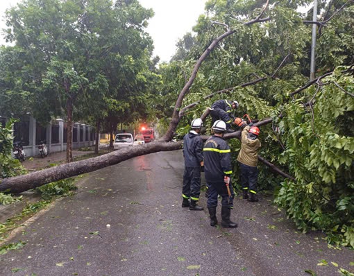 Cảnh sát phòng cháy chữa cháy và cứu nạn cứu hộ Thủ đô hỗ trợ khắc phục hậu quả sau cơn bão số 3 - ảnh 2