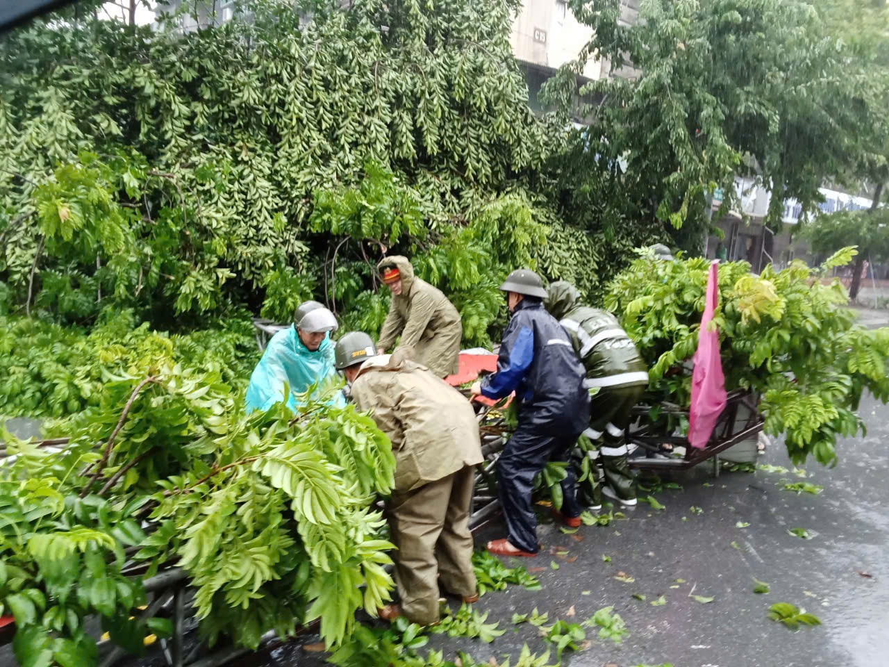 Quận Thanh Xuân: Nỗ lực, đồng lòng khắc phục hậu quả bão số 3 - ảnh 2