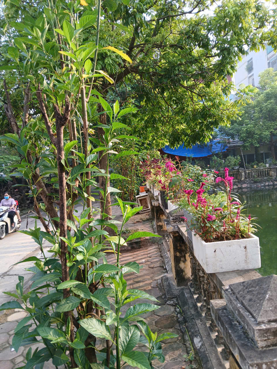 Phụ nữ phường Đông Ngạc: Chung tay xoá bỏ chân rác, làm đẹp cảnh quan - ảnh 3