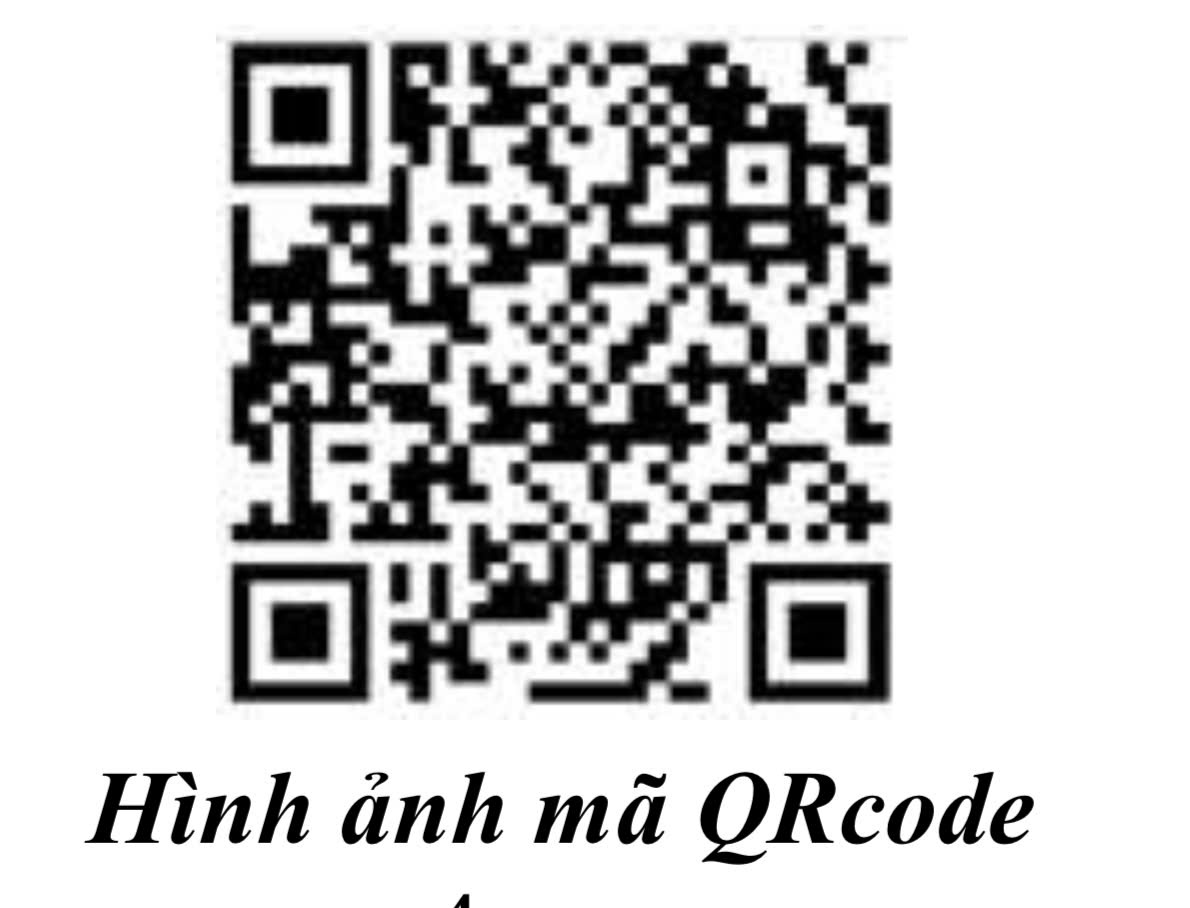 Thể lệ Cuộc thi trực tuyến “Tự hào truyền thống 95 năm Hội Liên hiệp Phụ nữ Việt Nam“ - ảnh 1