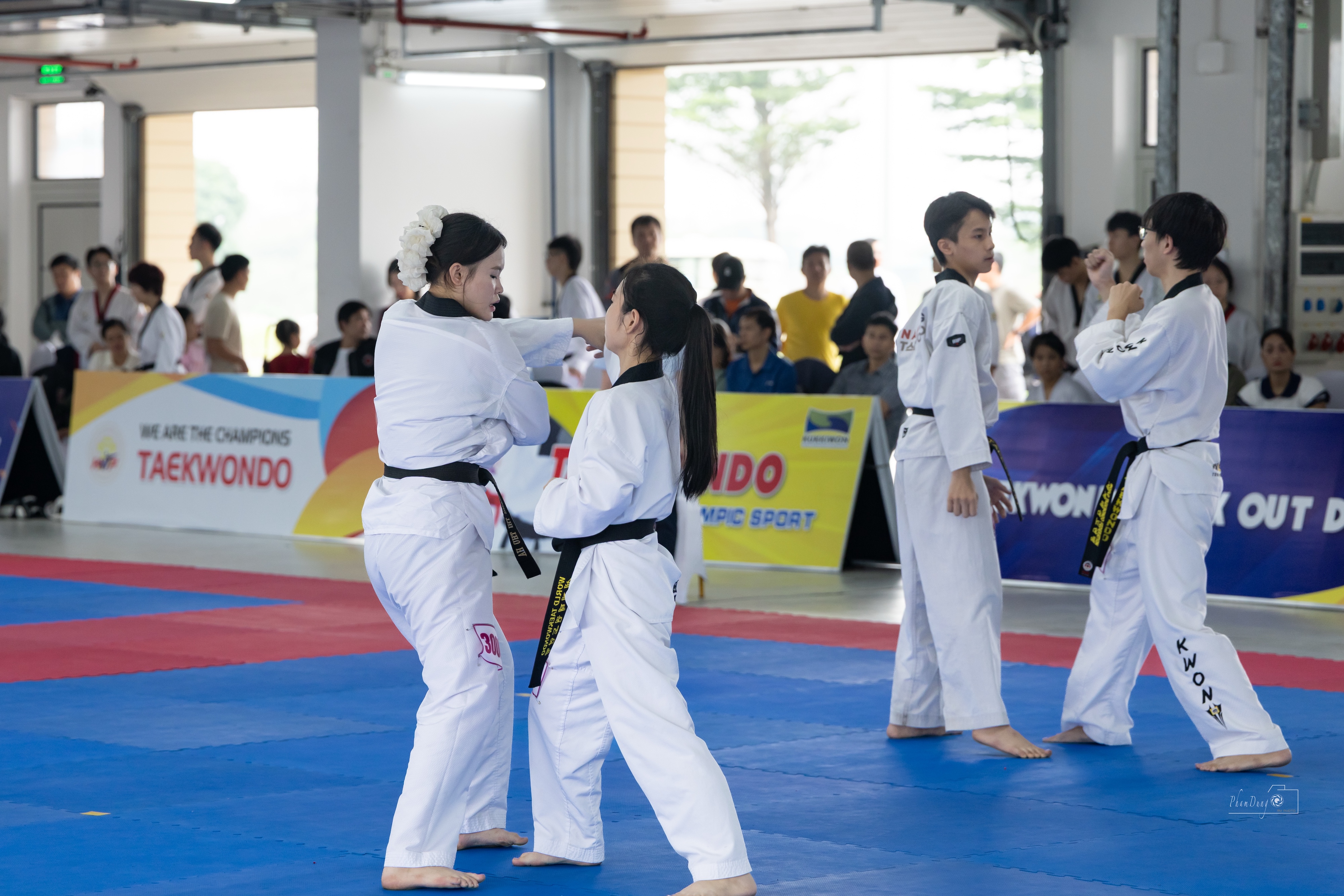 Taekwondo Hà Nội: Chuẩn hóa phong trào, nuôi dưỡng khát vọng vươn tầm quốc tế - ảnh 7