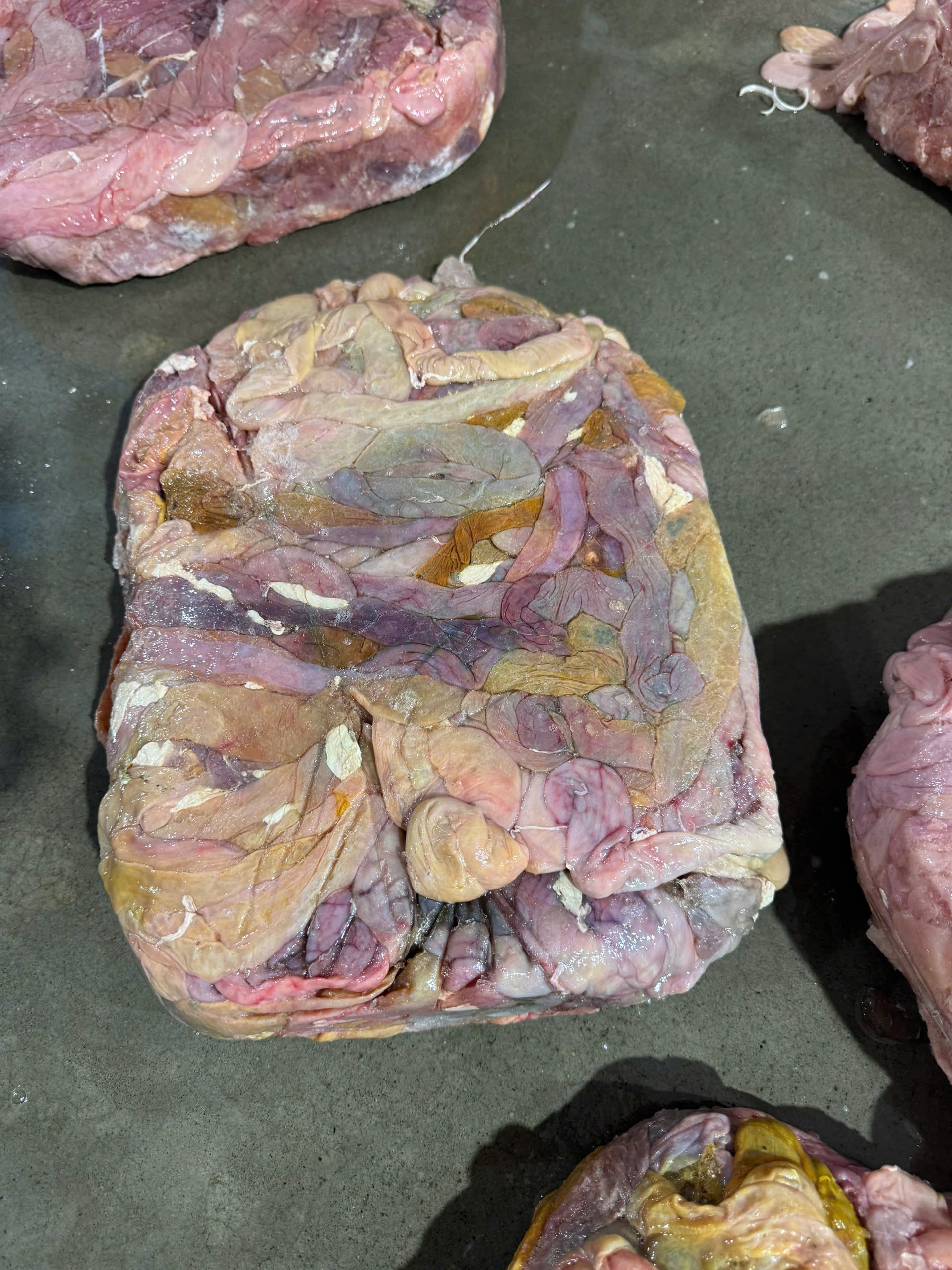 Hà Nội phát hiện kho lạnh với gần 60 tấn lòng lợn không rõ nguồn gốc - ảnh 4