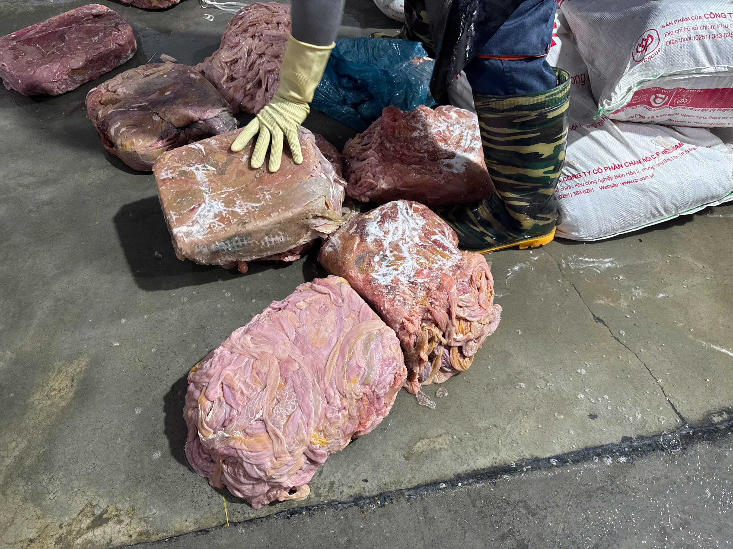 Hà Nội phát hiện kho lạnh với gần 60 tấn lòng lợn không rõ nguồn gốc - ảnh 3