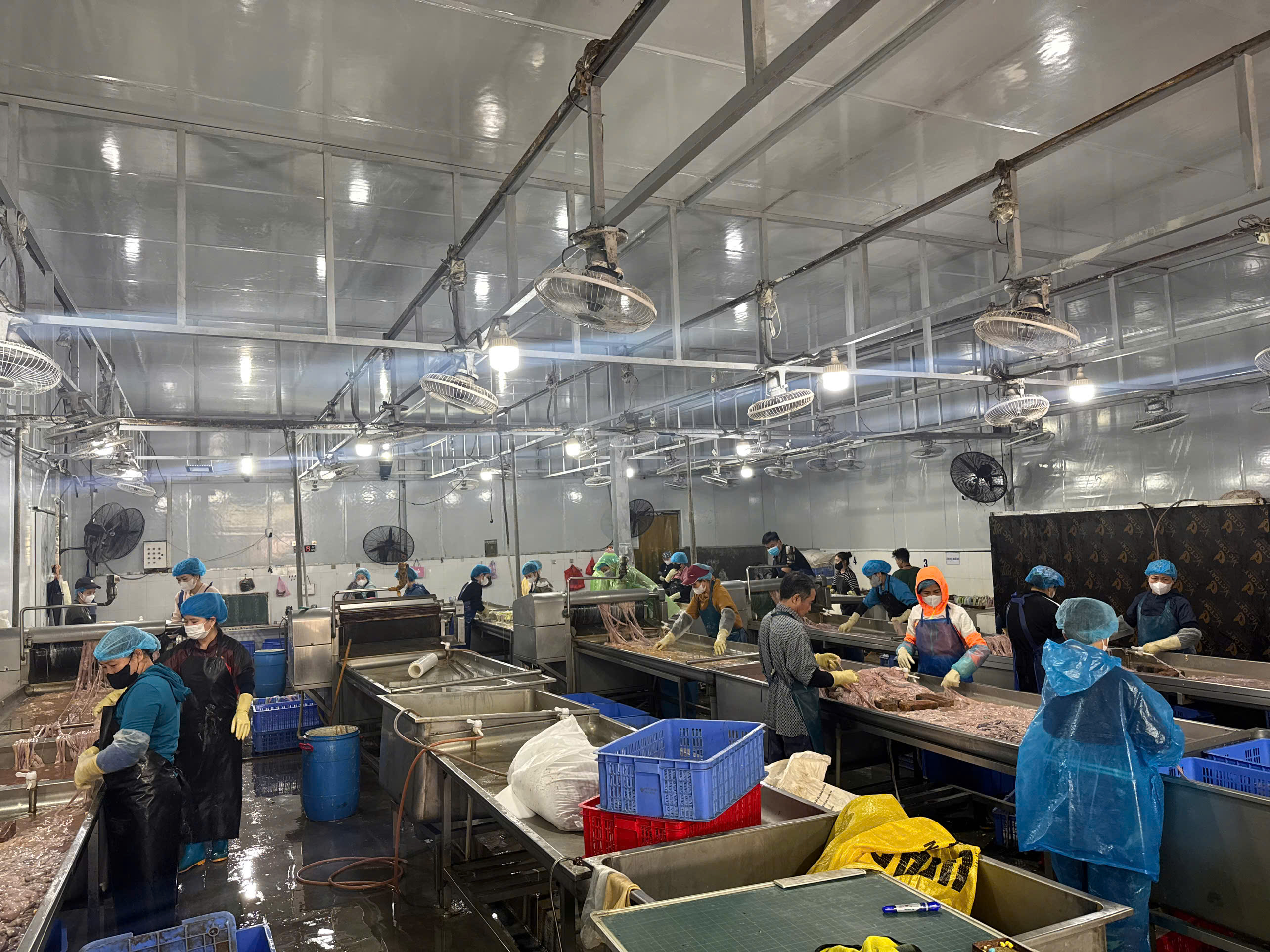 Hà Nội phát hiện kho lạnh với gần 60 tấn lòng lợn không rõ nguồn gốc - ảnh 2