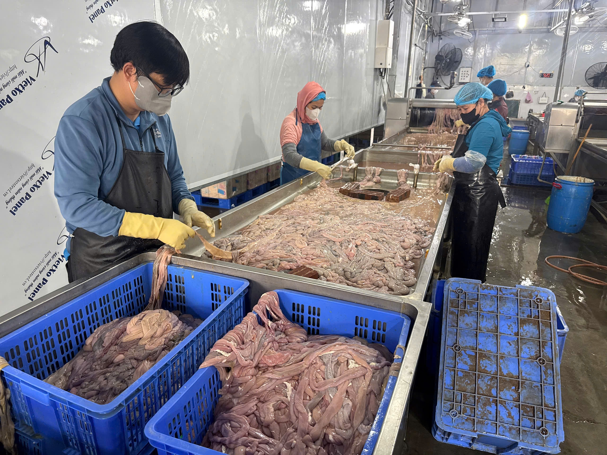 Hà Nội phát hiện kho lạnh với gần 60 tấn lòng lợn không rõ nguồn gốc - ảnh 5