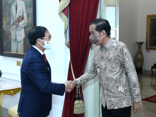 Thúc đẩy mạnh mẽ quan hệ đối tác chiến lược Việt Nam–Indonesia - ảnh 1