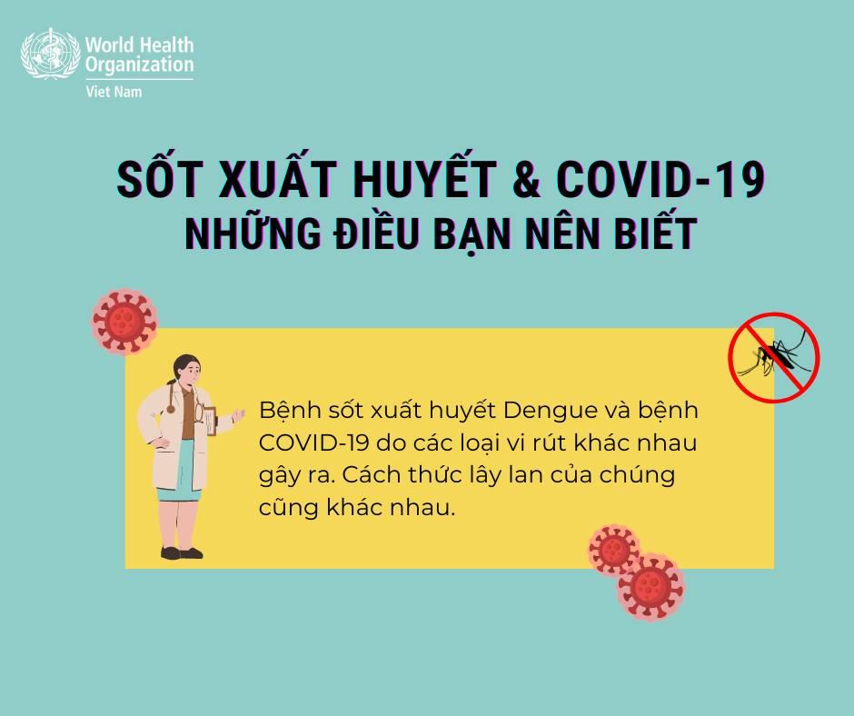 Không nhẫm lẫn triệu chứng sốt xuất huyết và Covid-19 - ảnh 1
