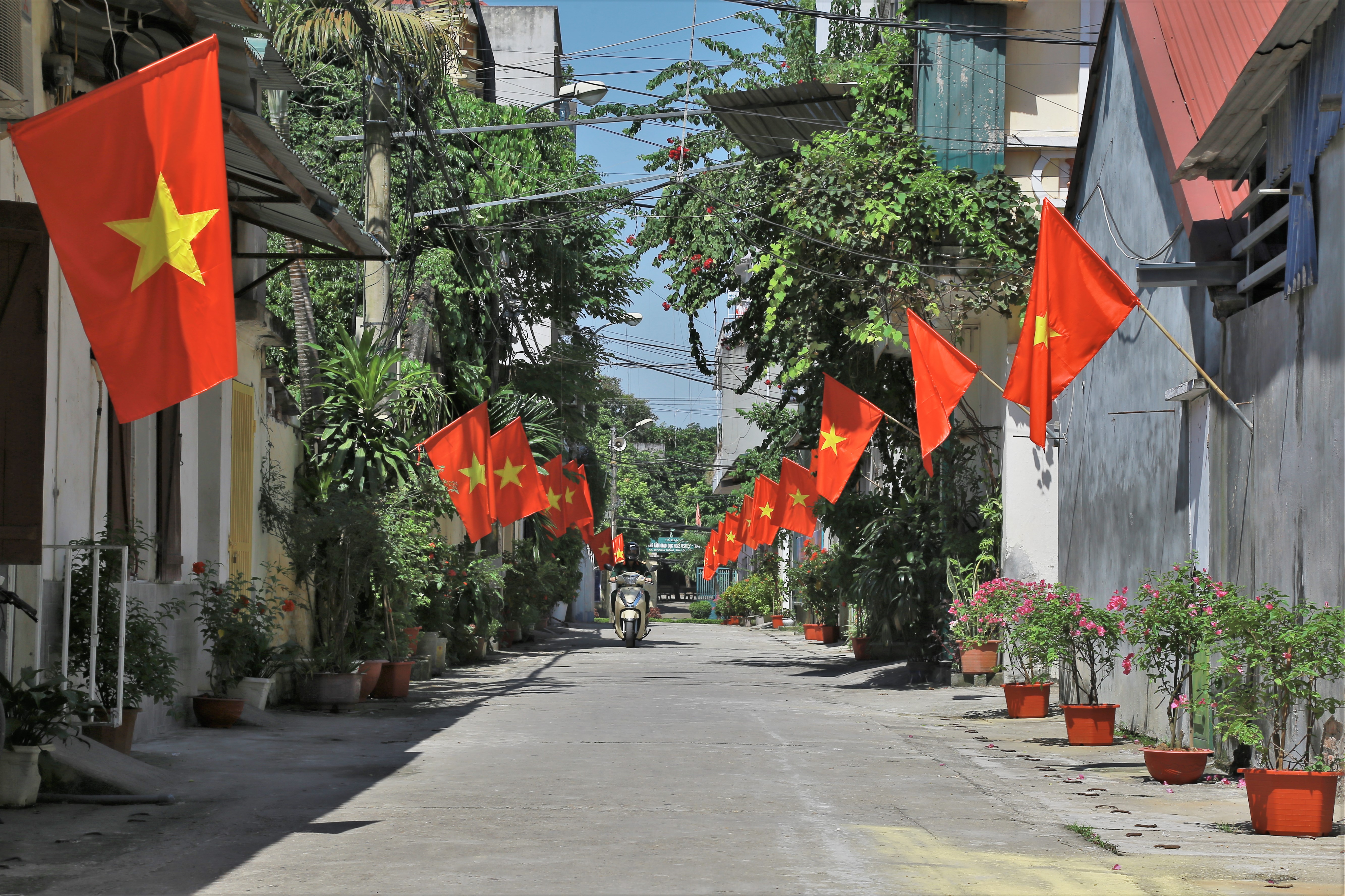 Sơn Tây hoàn thành mục tiêu “Giữ gìn ngõ phố xanh, sạch, trang hoàng đường phố đẹp” - ảnh 1