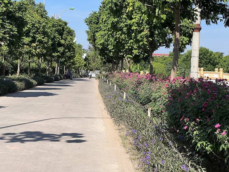 Đường làng ngõ xóm đẹp hơn nhờ sự chung tay của chính quyền và người dân - ảnh 2