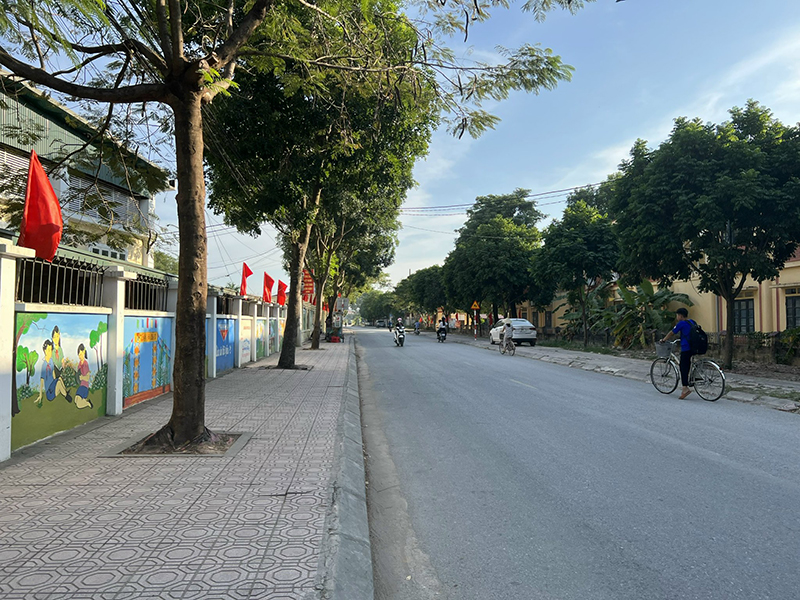 Đường làng ngõ xóm đẹp hơn nhờ sự chung tay của chính quyền và người dân - ảnh 3