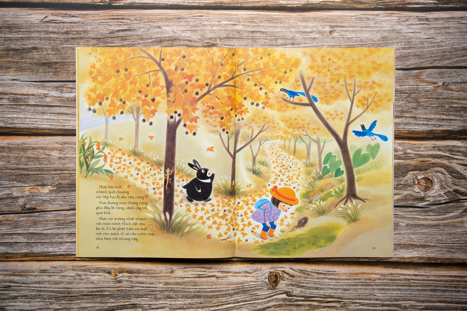 “Vui suốt cả bốn mùa”: Cảm nhận bốn mùa qua lăng kính trẻ thơ - ảnh 2