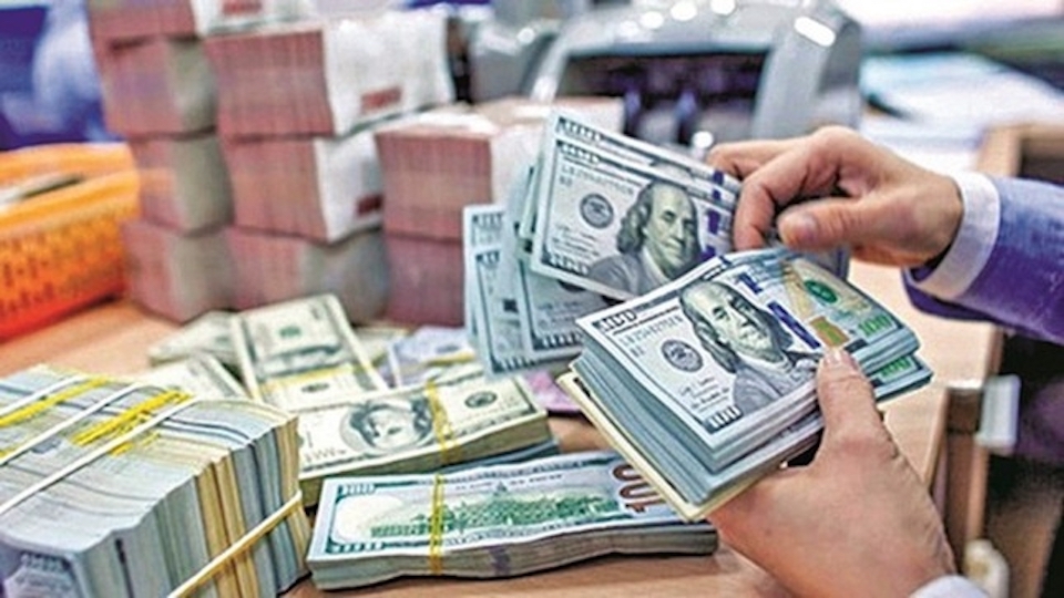 Kiều hối 2023 ghi nhận tăng trưởng cao nhất 10 năm - ảnh 1