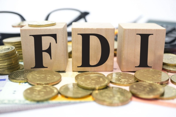 Việt Nam lọt top điểm đến thu hút FDI châu Âu - ảnh 1