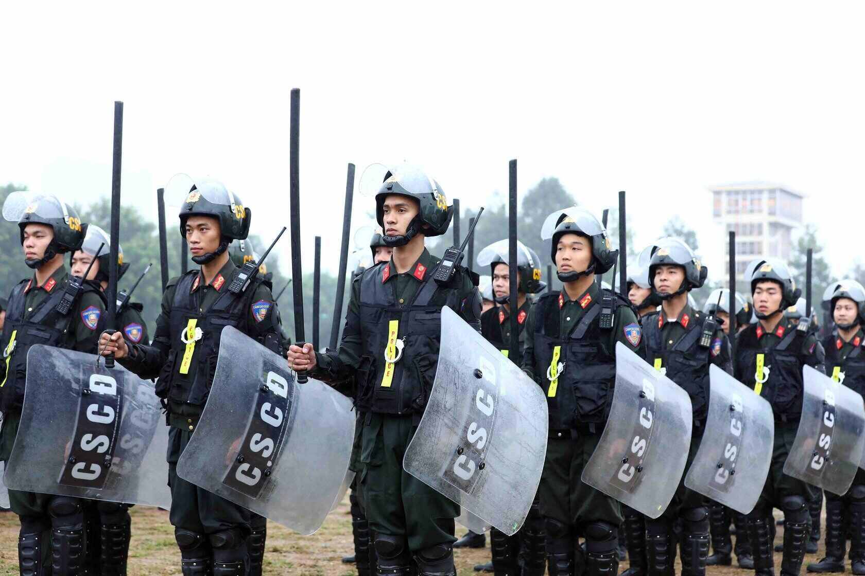 Việt Nam khẳng định trách nhiệm đóng góp cho hòa bình thế giới - ảnh 2