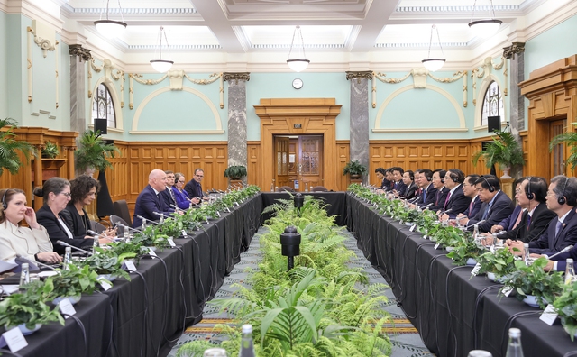 Thống nhất các phương hướng lớn thúc đẩy hợp tác Việt Nam-New Zealand - ảnh 2