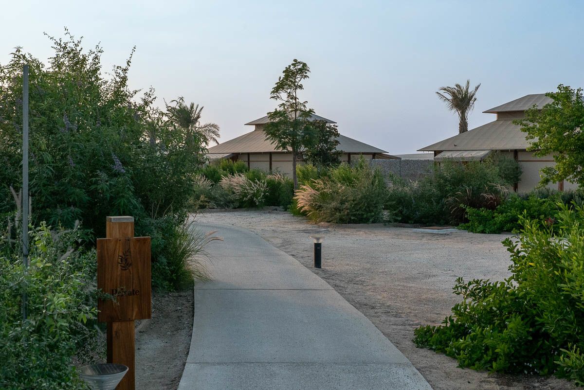 Cách Qatar khai thác du lịch cắm trại giữa sa mạc trở thành điểm đến sang trọng - Ảnh 1. Cách Qatar khai thác du lịch cắm trại giữa sa mạc trở thành điểm đến sang trọng - Ảnh 1.