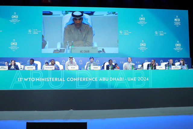 Việt Nam cam kết ủng hộ các sáng kiến cải cách nâng cao hiệu quả hoạt động của WTO - ảnh 1