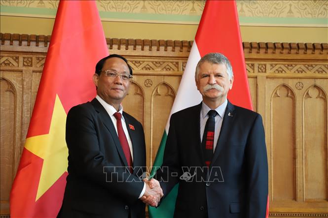 Việt Nam là đối tác quan trọng hàng đầu của Hungary tại Đông Nam Á - ảnh 1