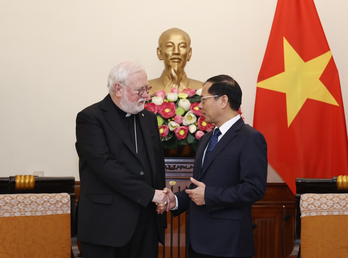 Vatican ấn tượng về thành tựu phát triển của Việt Nam - ảnh 1