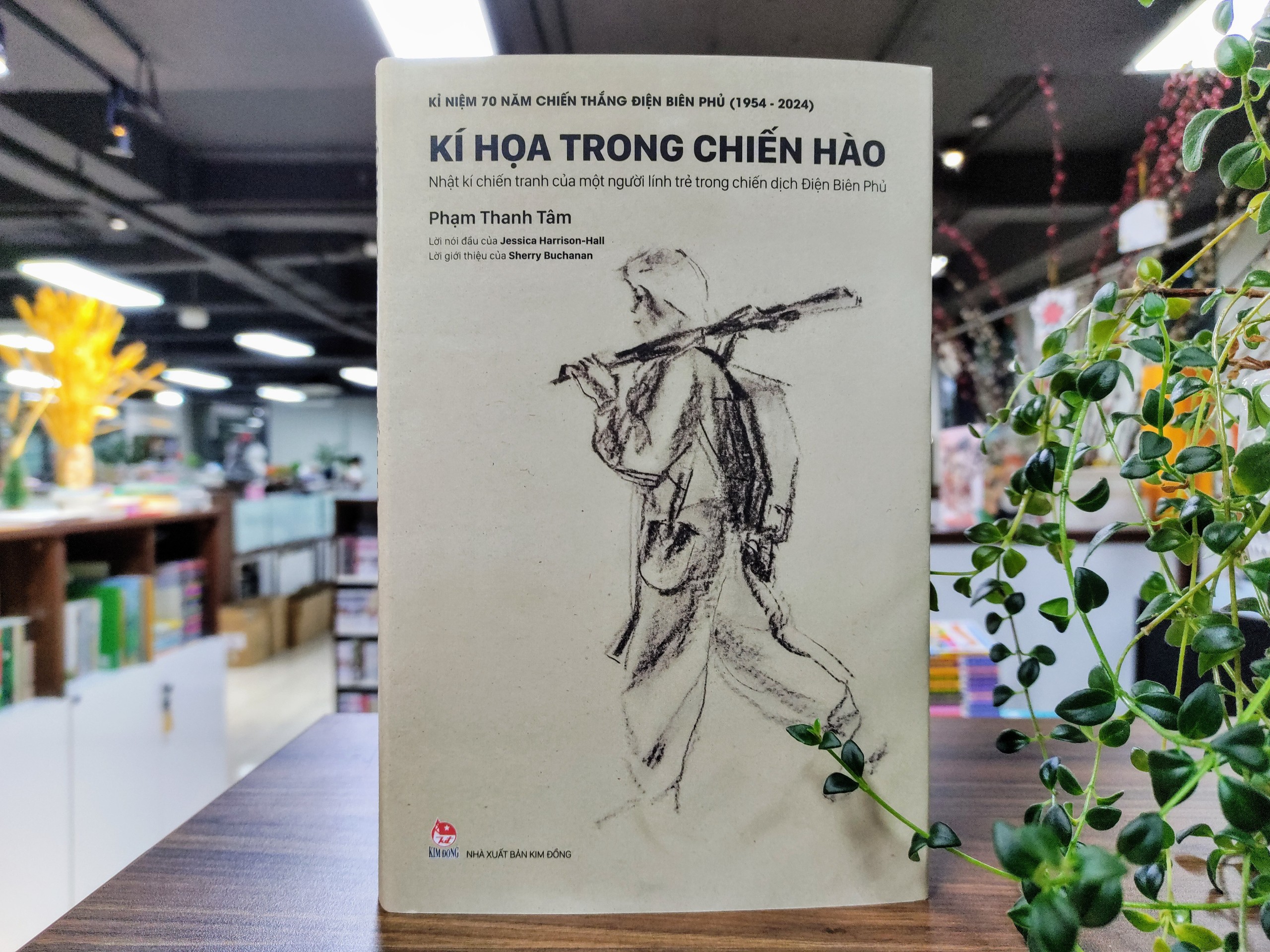 17 ấn phẩm đặc sắc kỉ niệm 70 năm chiến thắng Điện Biên Phủ - ảnh 2