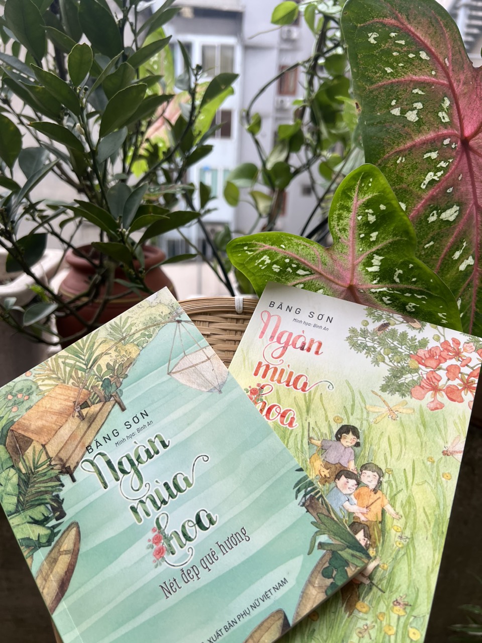 Ra mắt cuốn sách Ngàn mùa hoa - ảnh 1