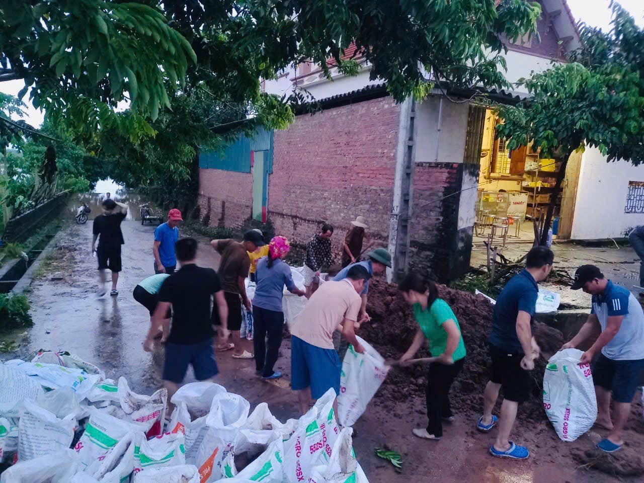 Huyện Đan Phượng sẵn sàng ứng phó với lũ báo động 2 trên sông Hồng - ảnh 2