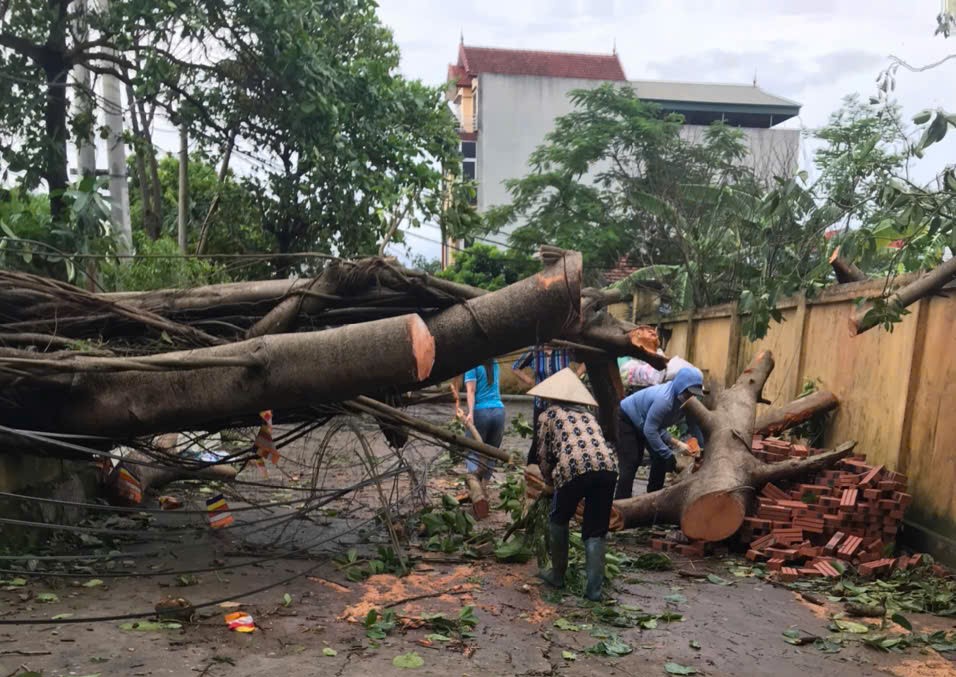 Đan Phượng: Phụ nữ 16 xã, thị trấn đồng loạt ra quân thực hiện công tác vệ sinh môi trường sau bão số 3 - ảnh 3