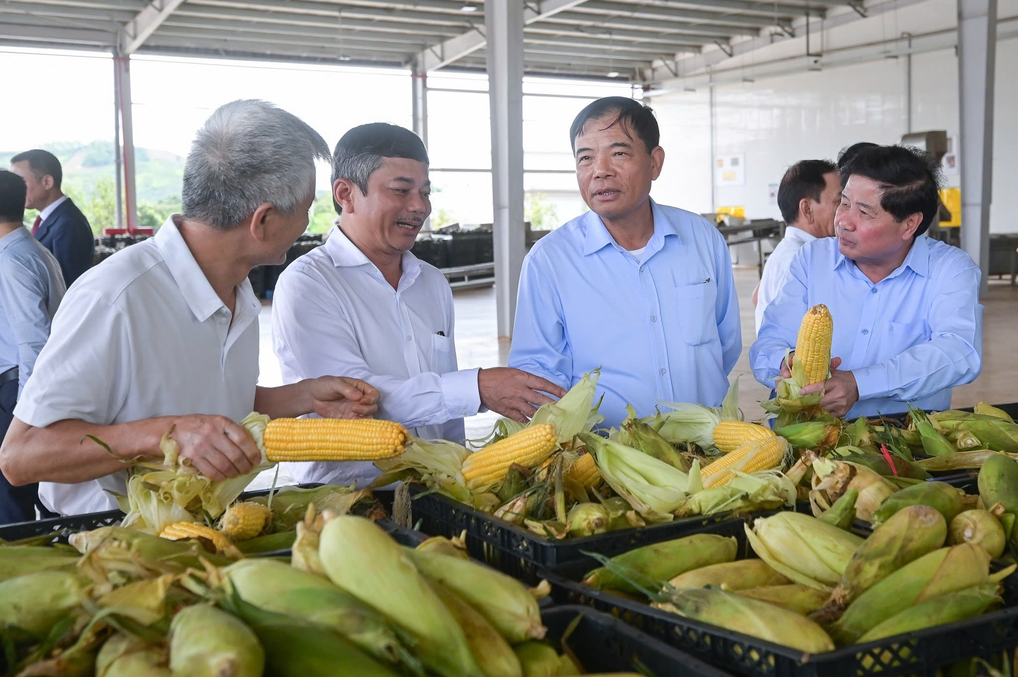 Lễ khánh thành dây chuyền đồ hộp giấy rau quả chế biến ở Sơn La - ảnh 3